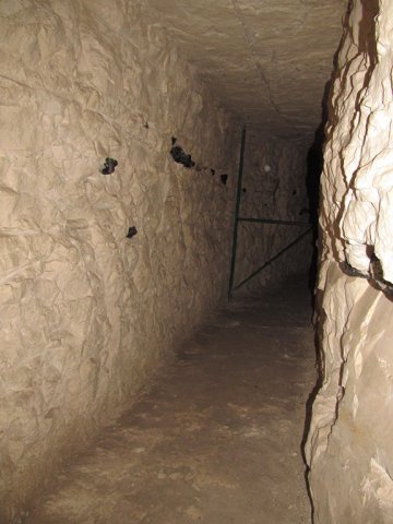 Wycieczka do Sandomierza